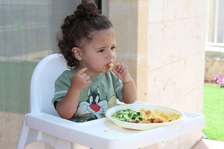 my toddler won't eat meat