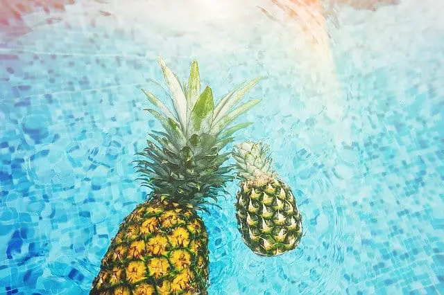 Some pineapple in water