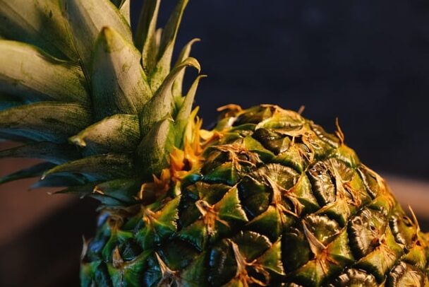 Trip To The Tropics: Can Babies Eat Pineapple?