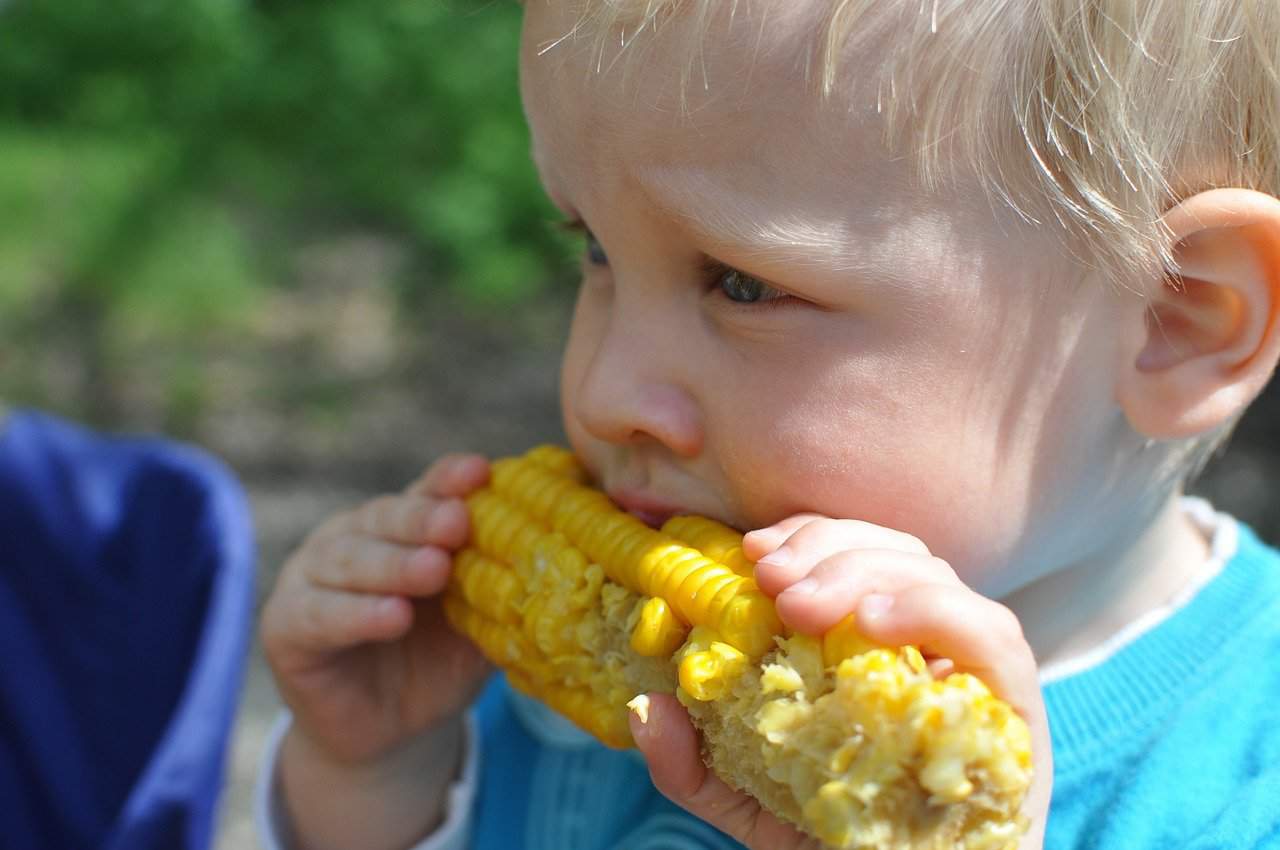When can babies eat corn